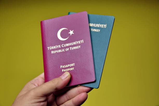 Türkiye'den Almanya'ya beyin göçü hızlandı
