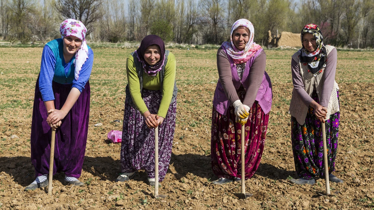 İlhan Sevin, Köye üniversite modelini Haberglobal.com.tr'ye değerlendirdi!